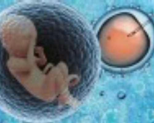 卵巢早衰供卵试管婴儿成功率多少&绝经女人还能怀孕吗,备孕期可以坐过山车吗