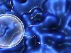 35岁怎样提高卵子质量&供卵专注孕妈妈,孕期营养:叶酸DHA唾液酸